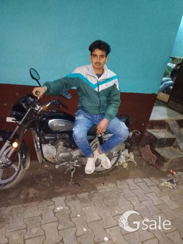 profile picture