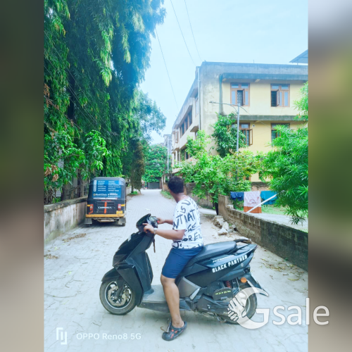 profile picture
