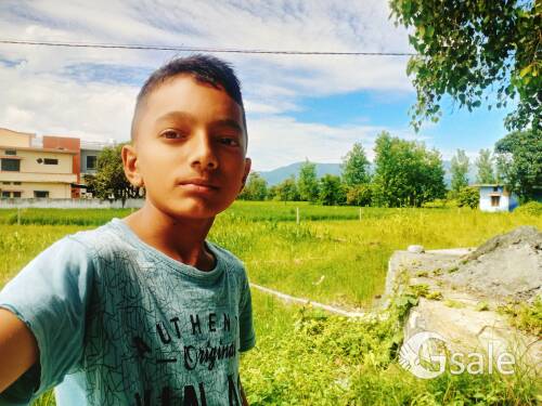 profile picture