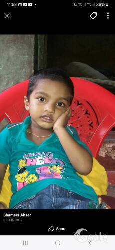 profile picture
