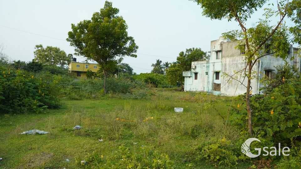 South Facing property 