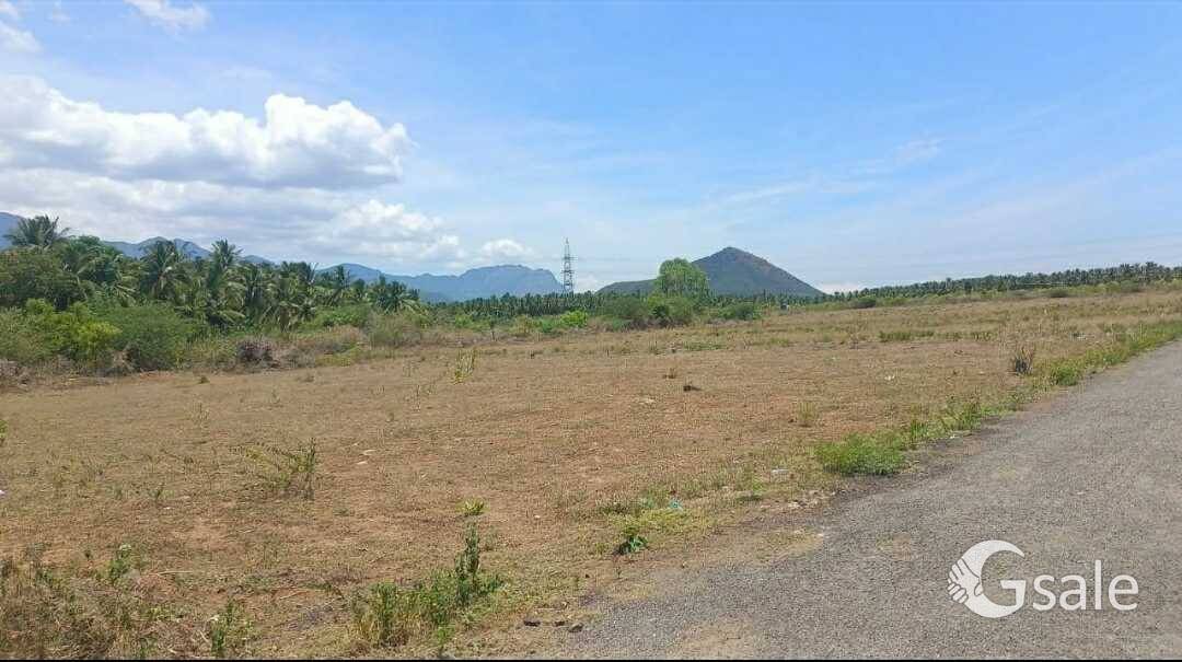 sr garden 