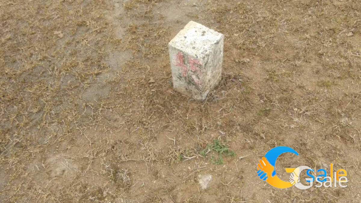 rayal garden 3 cent
