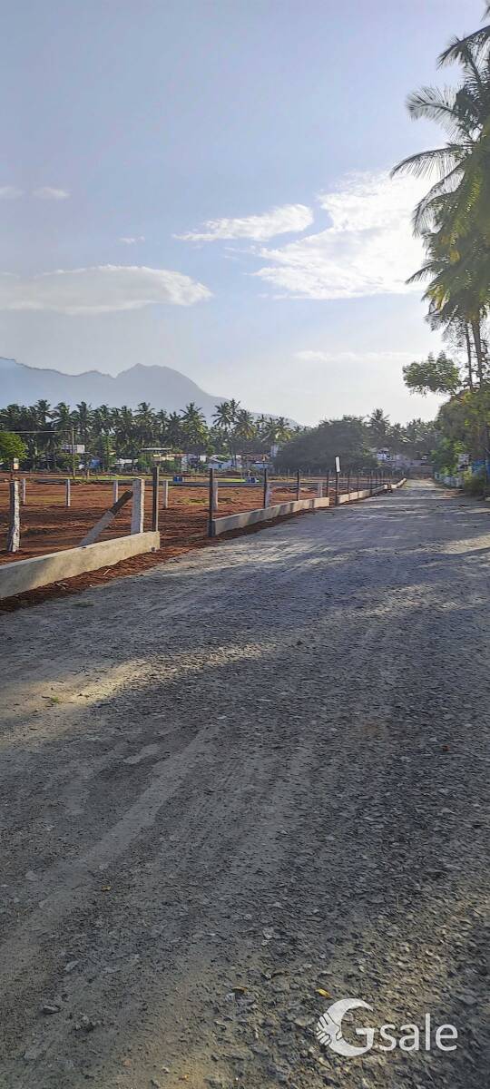 thudiyalur farmland 