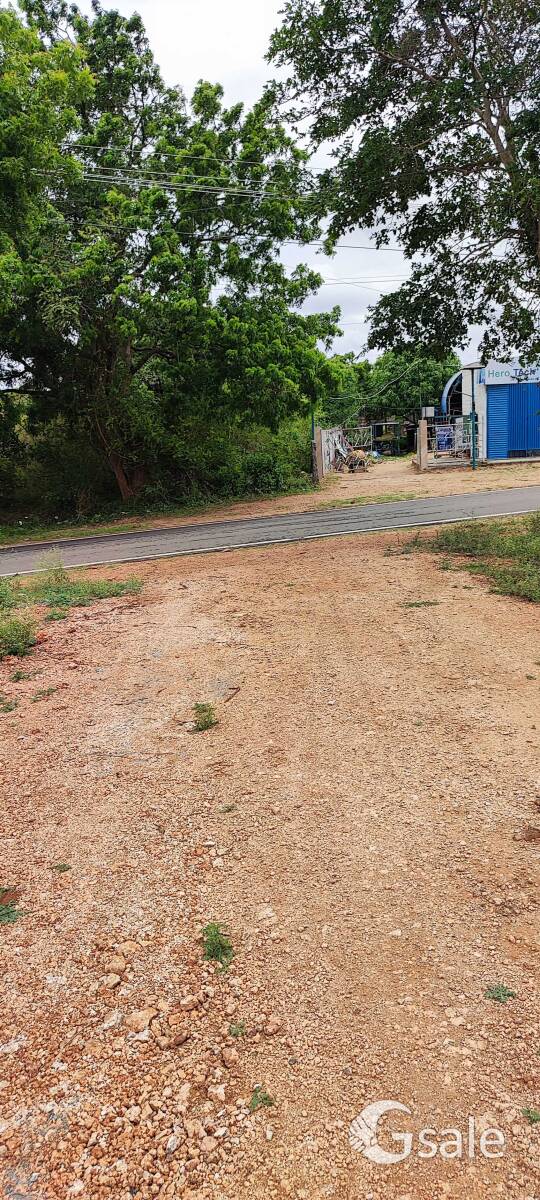 தாமரை குளம் பொள்ளாச்சி ரோடு வீட்டுமனை