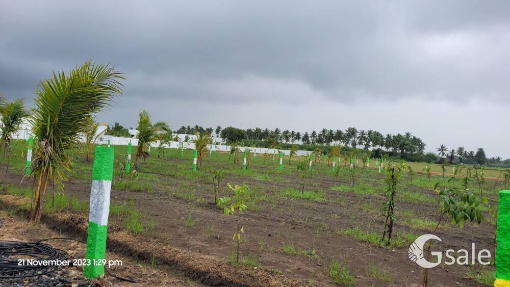 செங்கல்பேட்டு அடுத்து படாளம் செய்யூர் வழி.  GST  சாலை இருந்து வெறும் 9km   அருகில்  