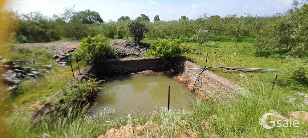 MANGO, JACKFRUIT & AMALA FARM LAND SALE 