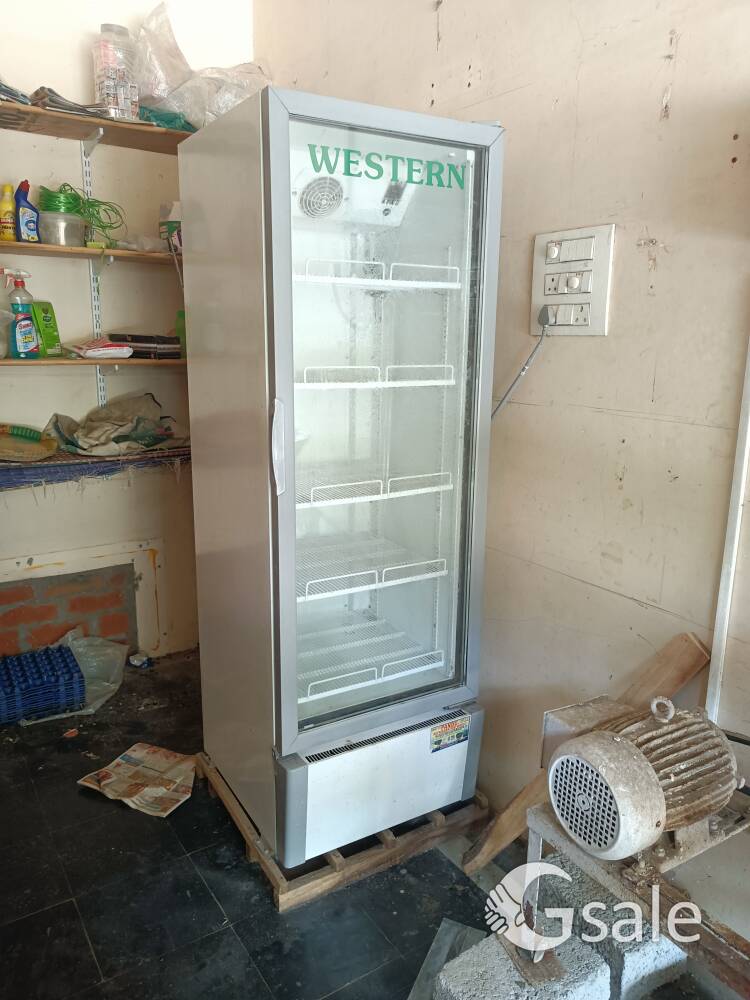Refrigerator (380L with Display) for Shops