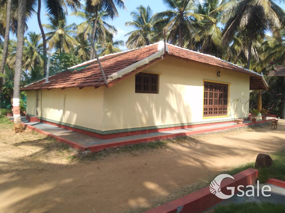 farm plot for sale 6 gunta near Chanpatna 