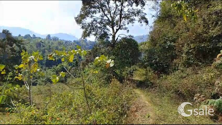 7acre plain lands 