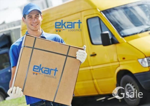Van Delivery Executive 