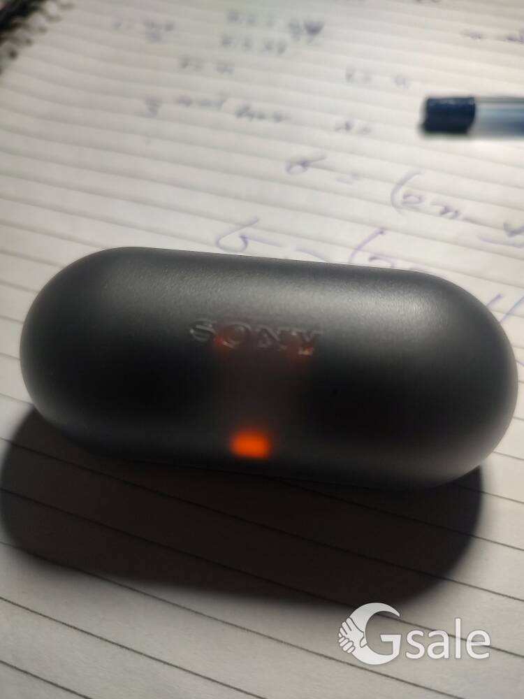 Sony Earbud wfc500