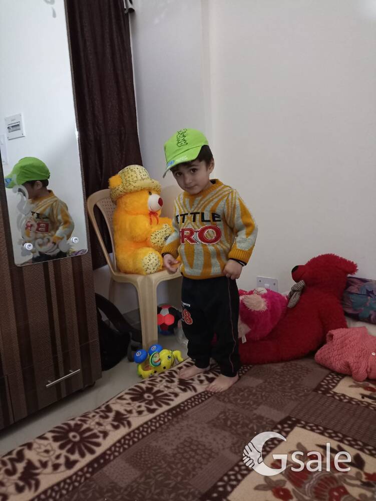 1 BHK FLAT for Rent 