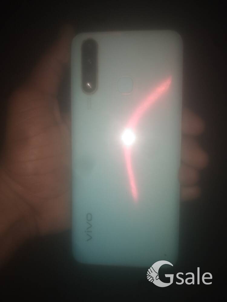 vivo, y 19