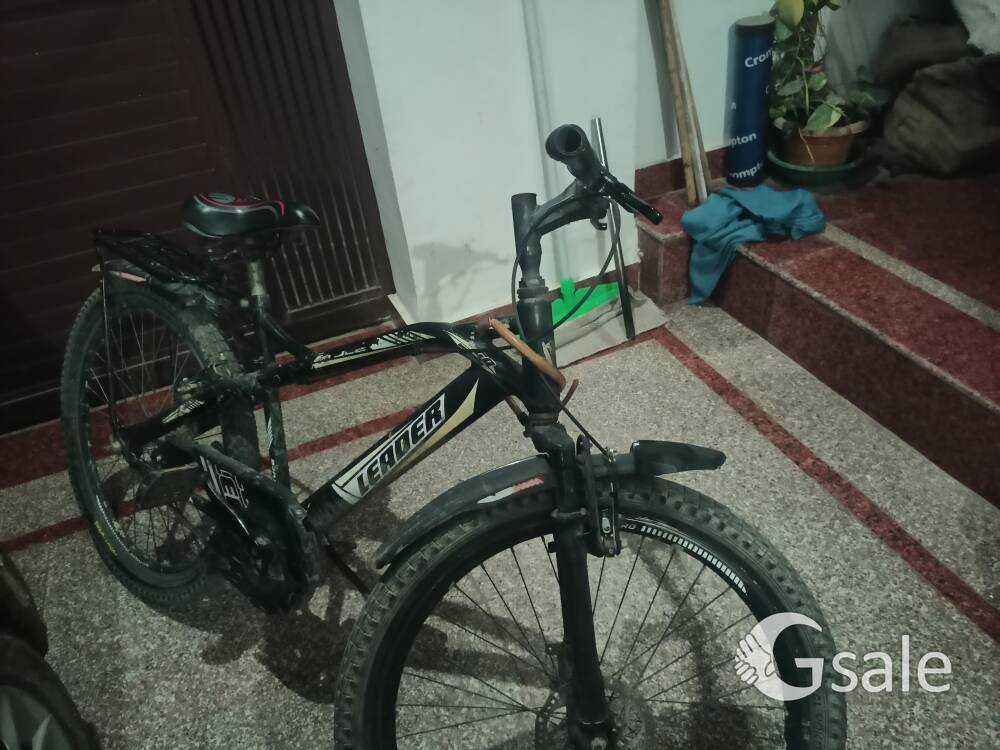 leader Bruce bicycle 2022 model