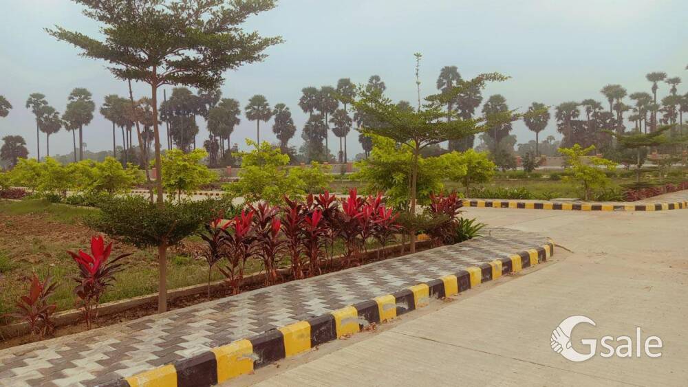 gated community Vmrda and RERA Approved plot for sale 