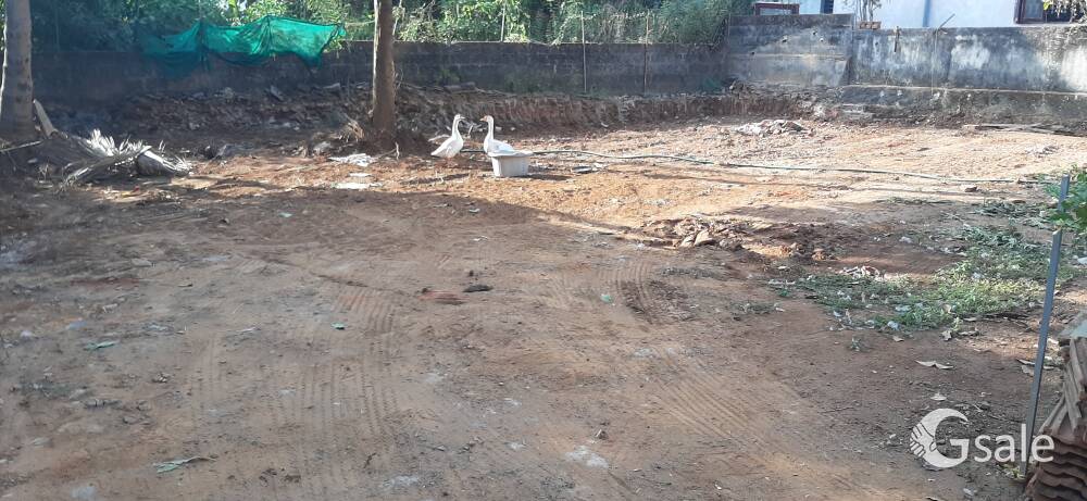 PLOT FOR SALE