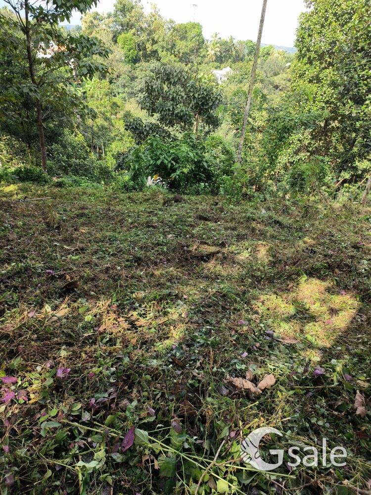 plot for sale