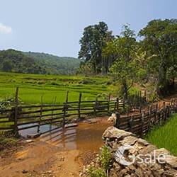 1 to 15 Acer Land's for Sale at Dandeli Tourism area suitable for Resort Homestay Fruits Plantation 