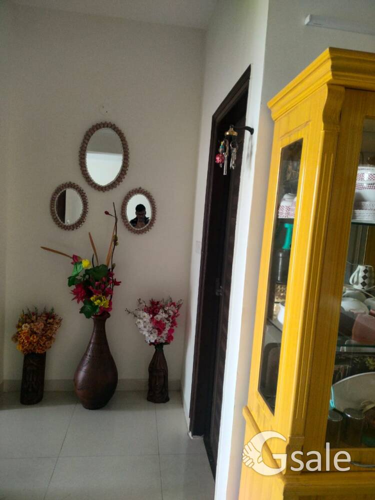 Fully furnished 2bhk flate for rent in sector 115 mohali