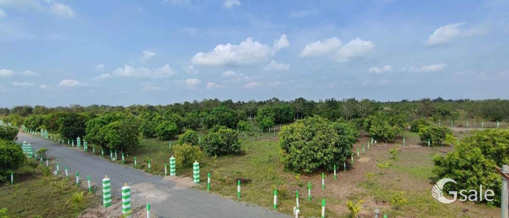 Farm land for sale 