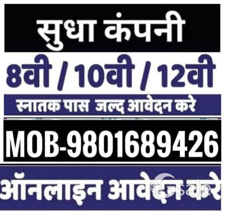 URGENT REQUIRED MALE NEW STAFF FOR OFFICE WORK IN SUDHA COMPANY