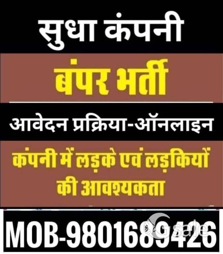 URGENT REQUIRED MALE NEW STAFF FOR OFFICE WORK IN SUDHA COMPANY