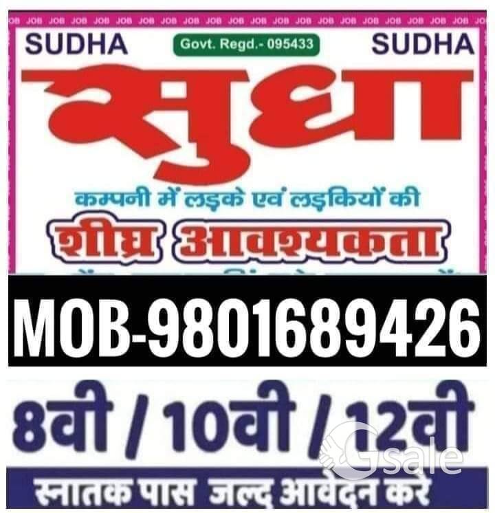 URGENT REQUIRED MALE NEW STAFF FOR OFFICE WORK IN SUDHA COMPANY