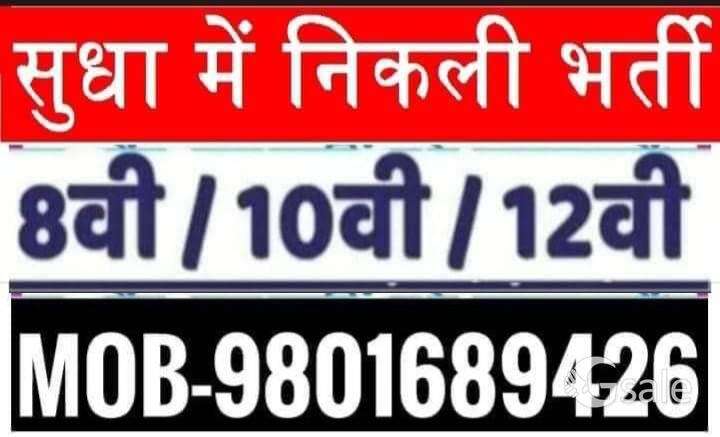 URGENT REQUIRED MALE NEW STAFF FOR OFFICE WORK IN SUDHA COMPANY
