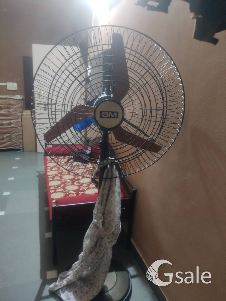 big _ fan_