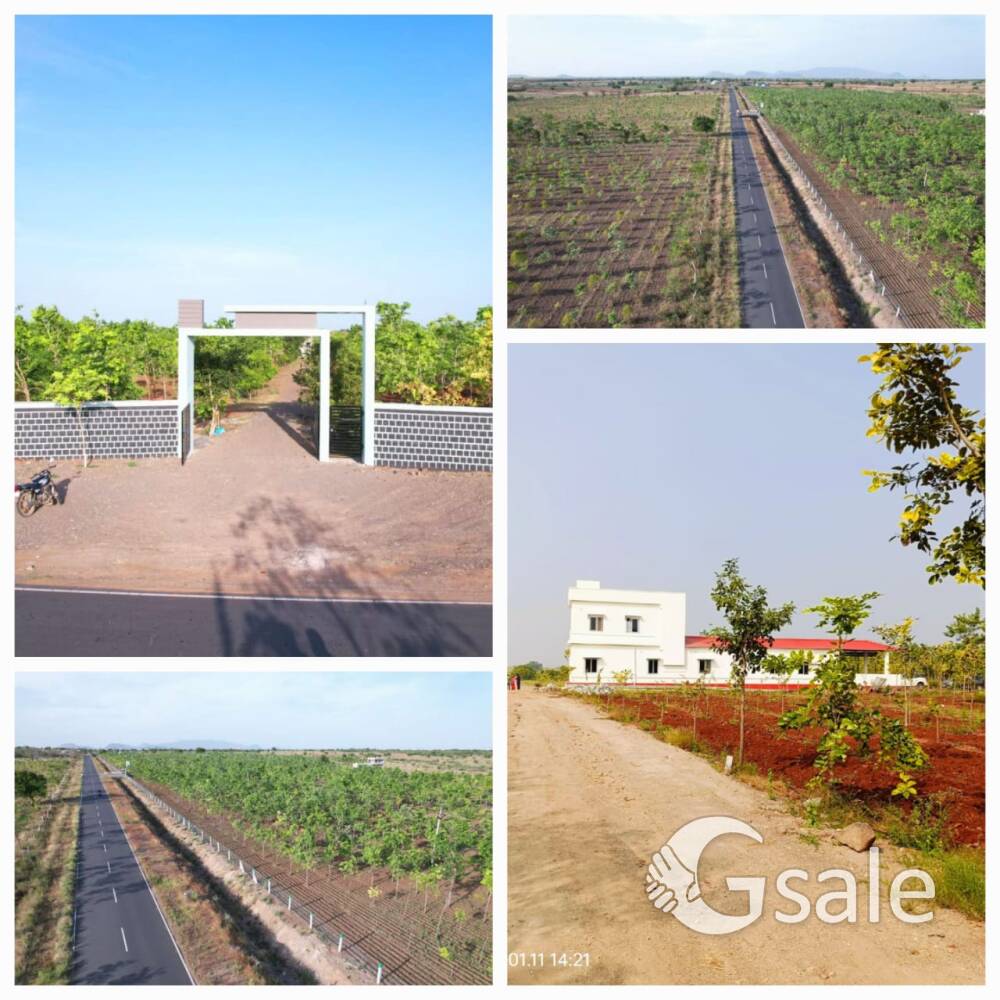 Harish Farm Lands 