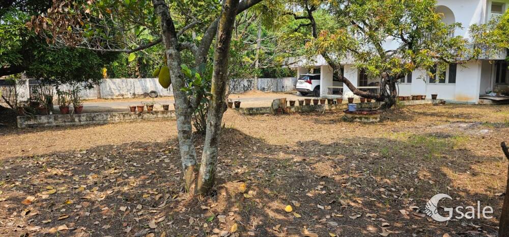 26 cent old house Edappally Palarivattom metro city 