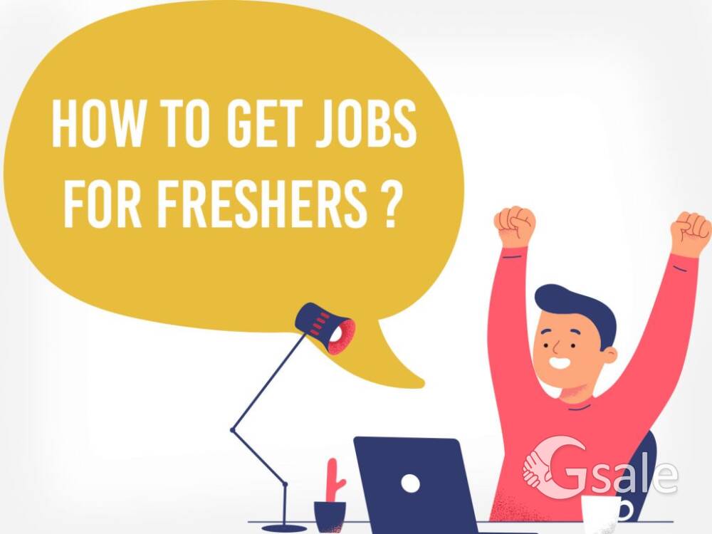 Job For Fresher Candidate 