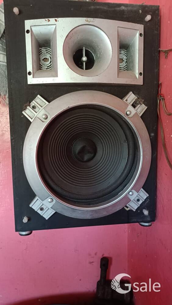 Bass speaker 