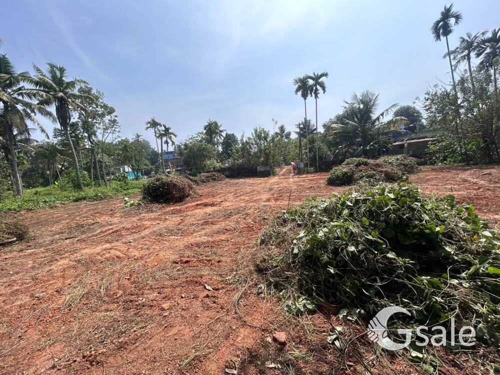 Plot for sale
