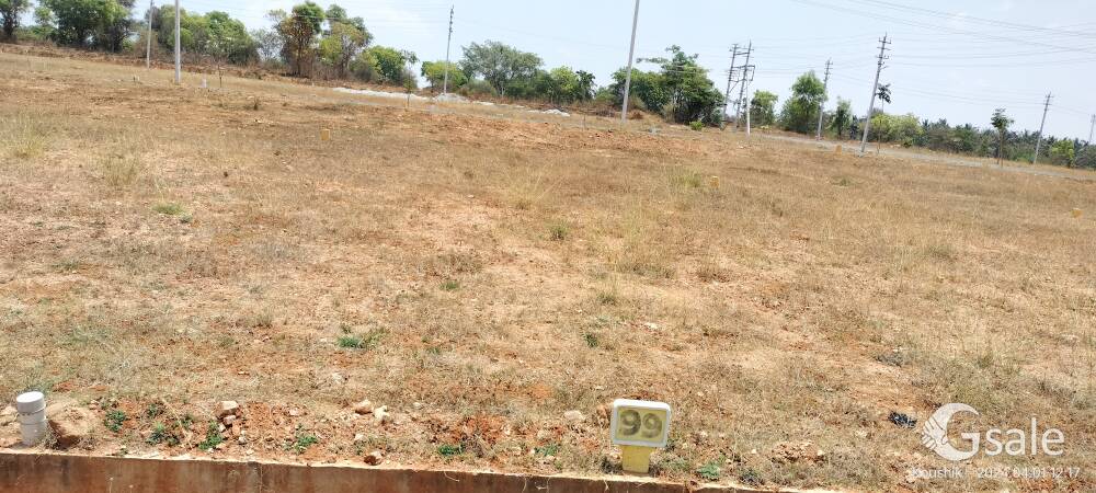 site for sale