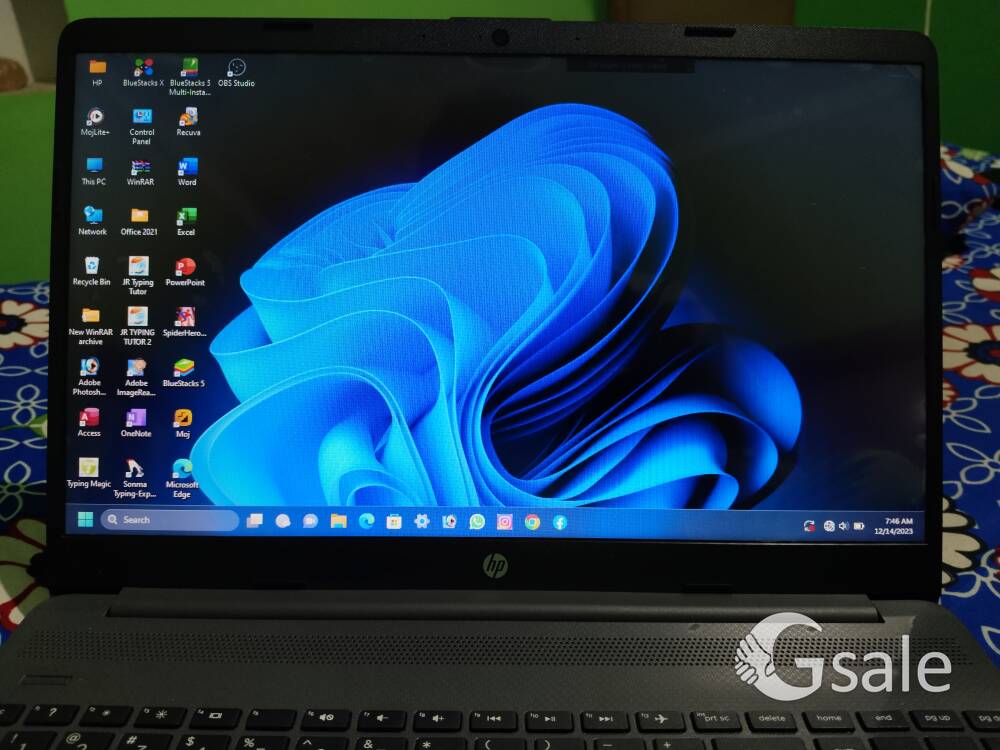 HP 255 G8 laptop window 11 