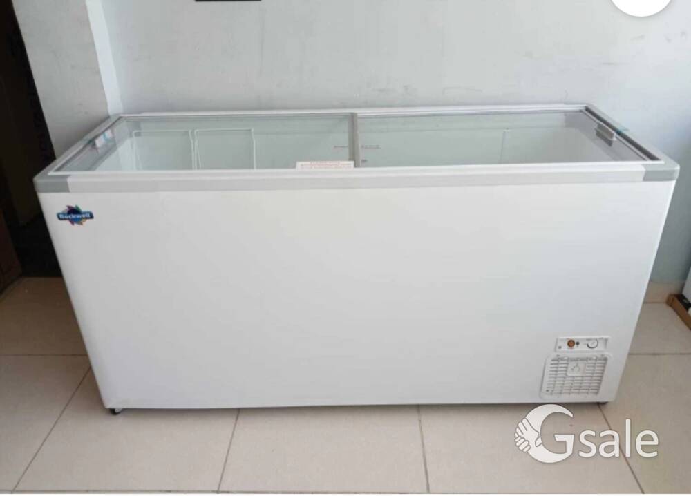 Double door deep freezer 