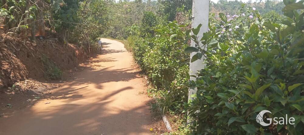 സ്ഥാലം വില്ക്കുവാൻ ഉണ്ട് nearകട്ടപ്പന