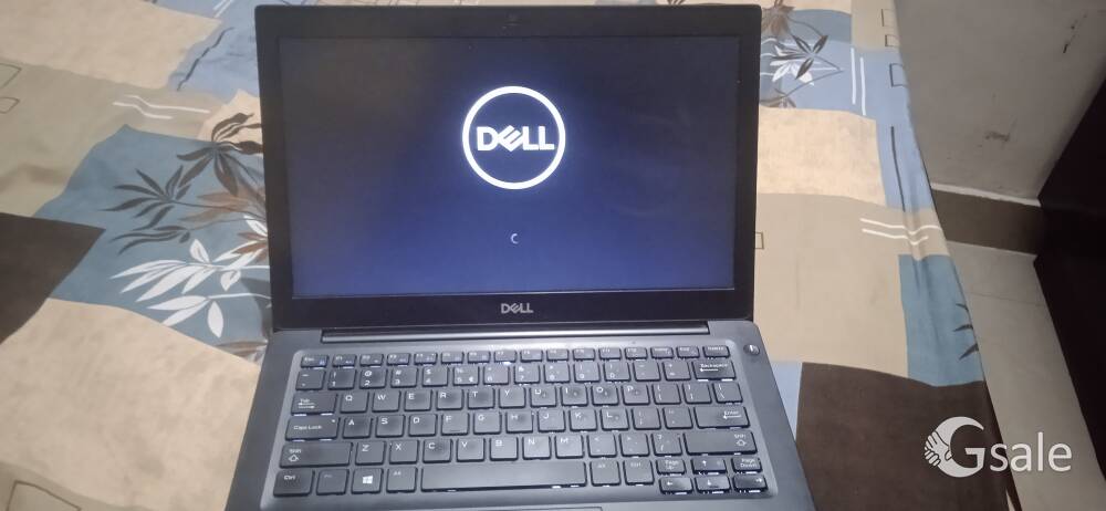 dell laptop 