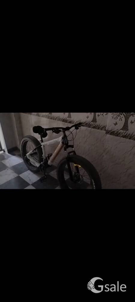 Cybertruck fitrip fat bike