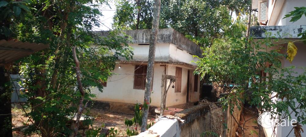 കൊല്ലം - കൂനമ്പായികുളം വടക്കേവിള സമീപം 6 സെൻ്റ് വിൽപ്പനയ്ക്