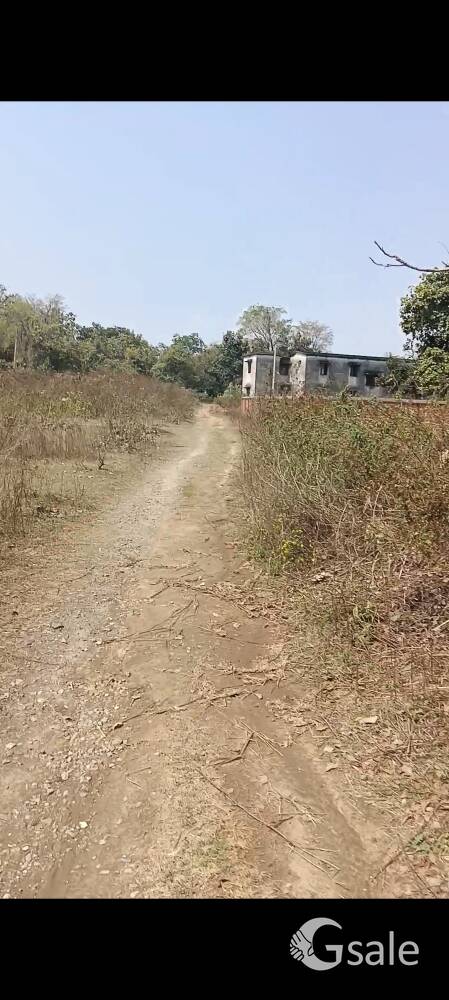 बलियापुर रोड दूधिया बस्ती में जमीन