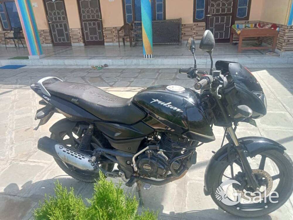 palser 125
