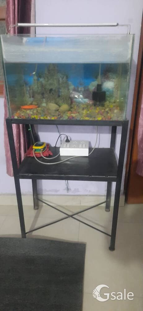Fish Aquarium 2feet with stand