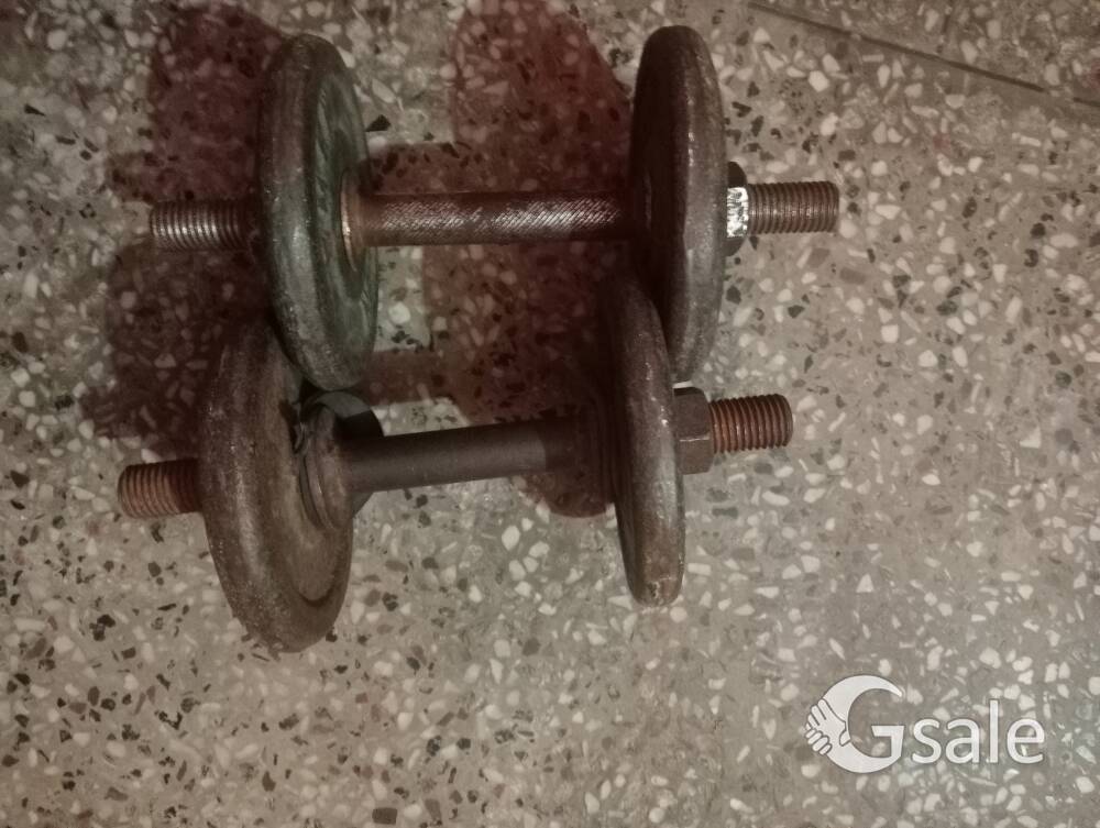  iron dumbells 