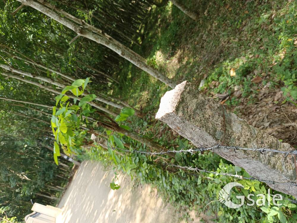3.5acre land
