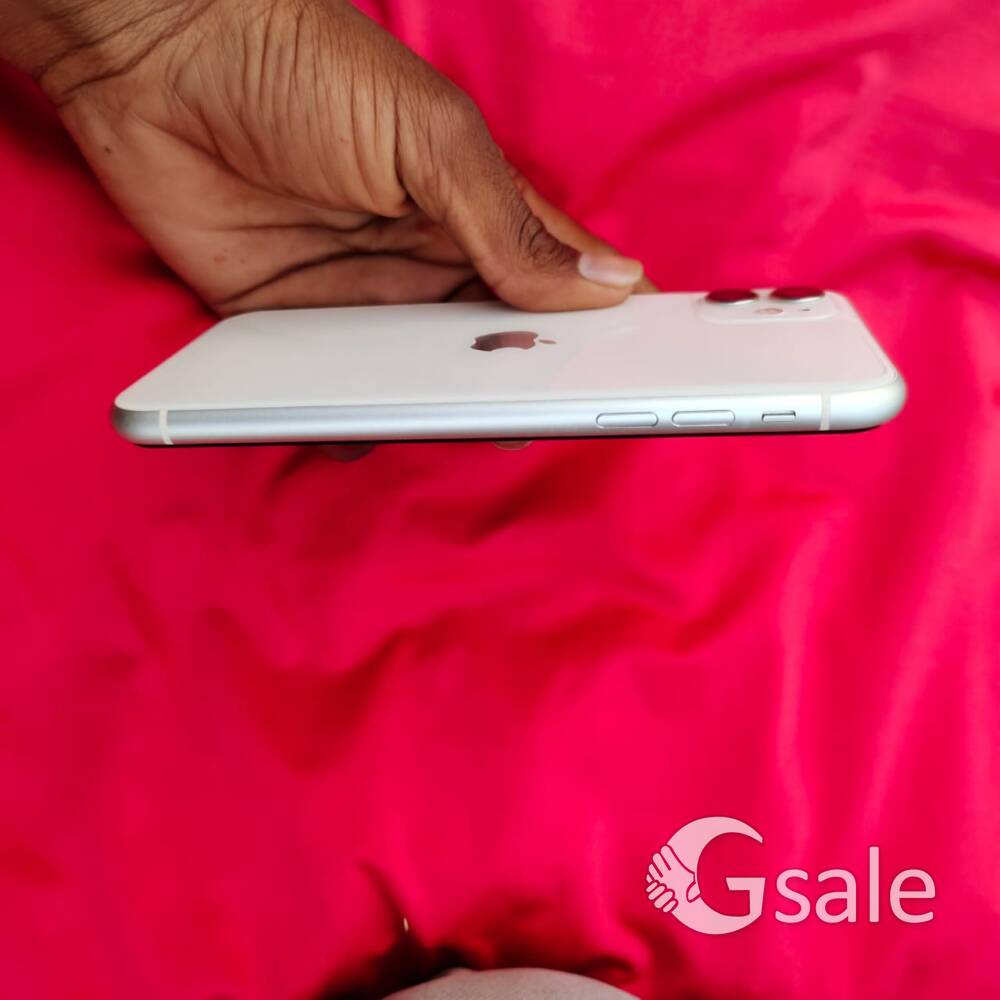 iPhone 11 