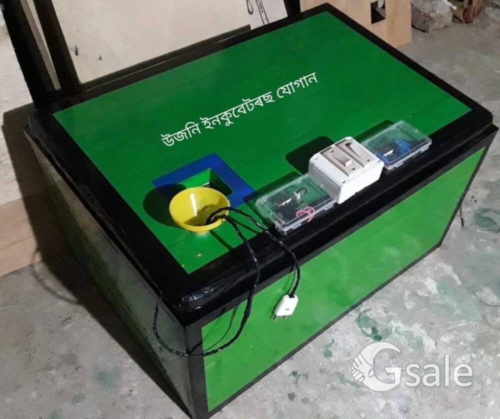 egg incubator Automatic wooden