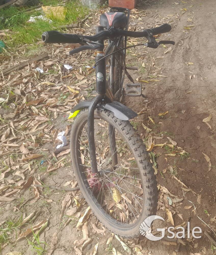 Neelam cycle new
